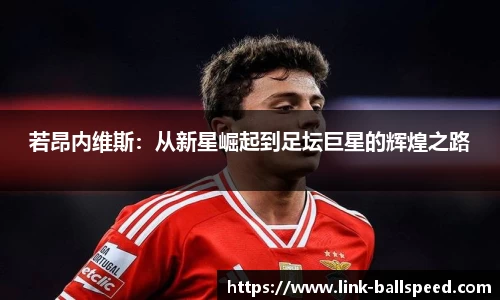 球速体育